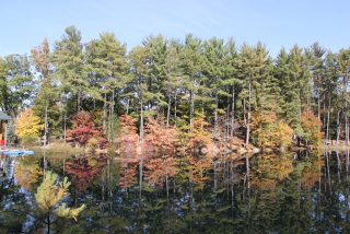 Breathtaking View Of Our Lake!